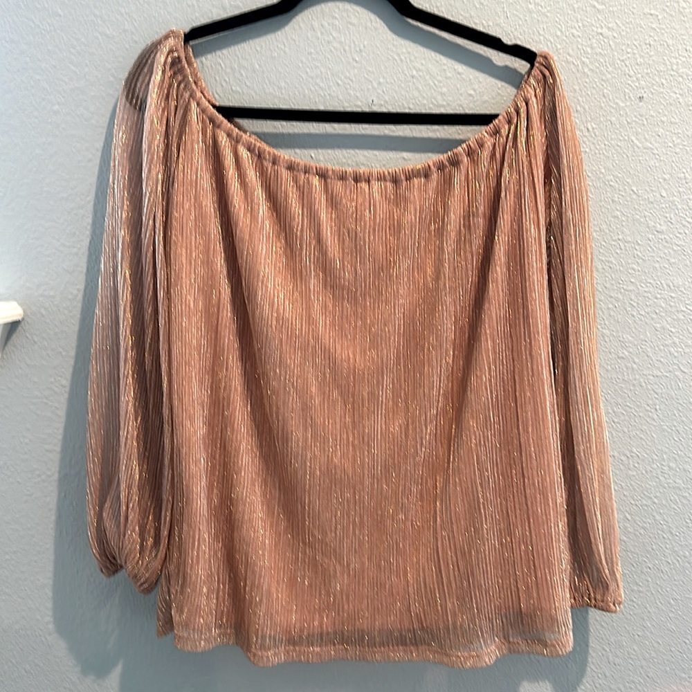 Willow & Root sparkly off the shoulder blouse